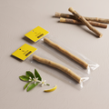 Lemon Flavor Peelu Miswak Pack of 10 – Natural Herbal Toothbrush